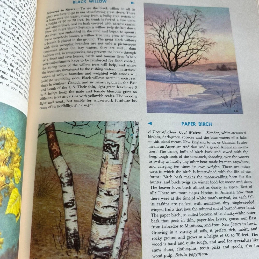 Hammond nature atlas